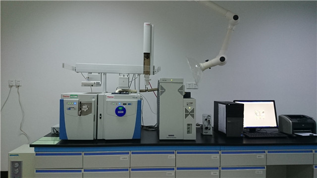 Gas Chromatograph